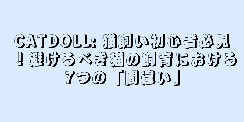CATDOLL: 猫飼い初心者必見！避けるべき猫の飼育における7つの「間違い」