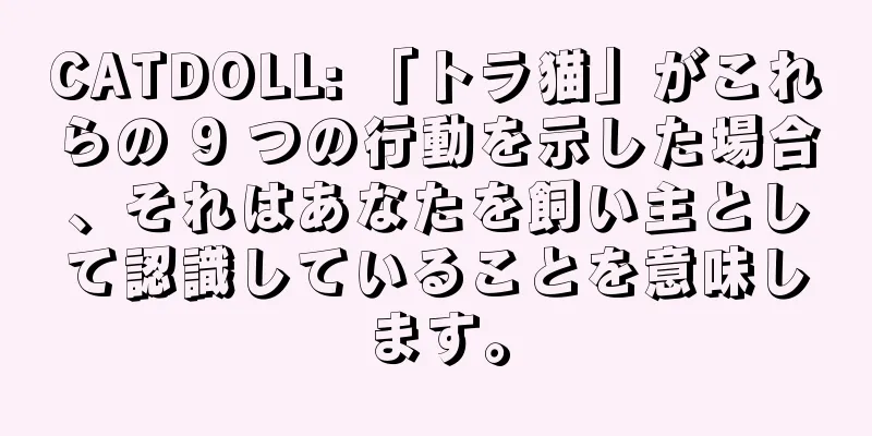 CATDOLL: 「トラ猫」がこれらの 9 つの行動を示した場合、それはあなたを飼い主として認識していることを意味します。