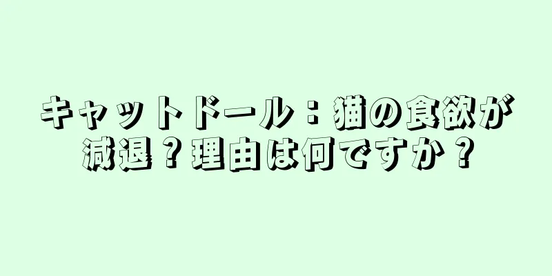 キャットドール：猫の食欲が減退？理由は何ですか？