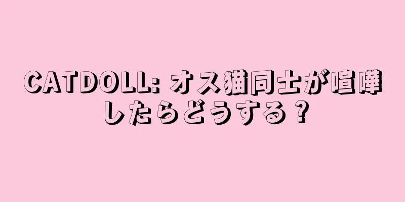 CATDOLL: オス猫同士が喧嘩したらどうする？