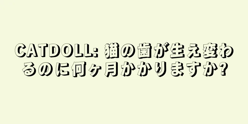CATDOLL: 猫の歯が生え変わるのに何ヶ月かかりますか?