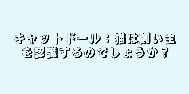 キャットドール：猫は飼い主を認識するのでしょうか？