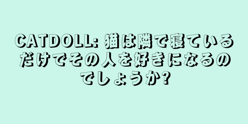 CATDOLL: 猫は隣で寝ているだけでその人を好きになるのでしょうか?