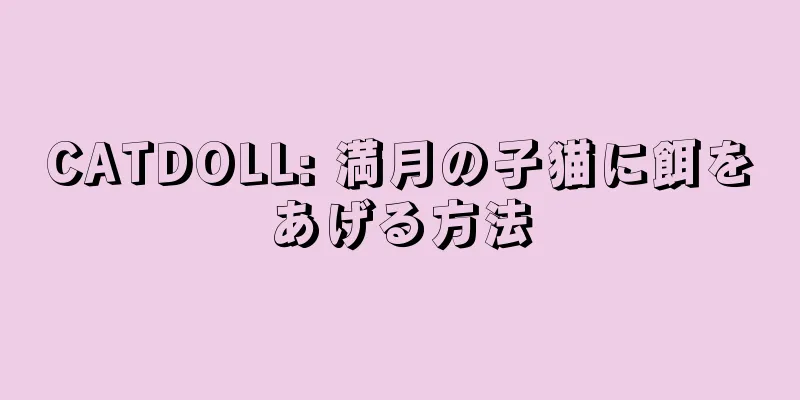 CATDOLL: 満月の子猫に餌をあげる方法