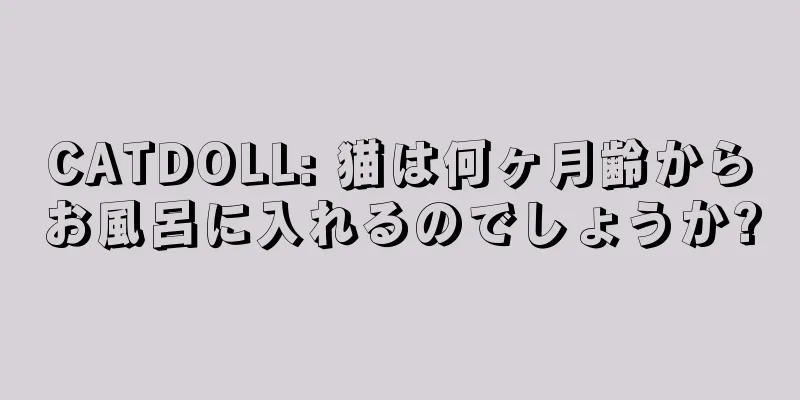 CATDOLL: 猫は何ヶ月齢からお風呂に入れるのでしょうか?