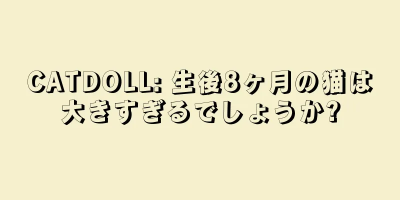 CATDOLL: 生後8ヶ月の猫は大きすぎるでしょうか?