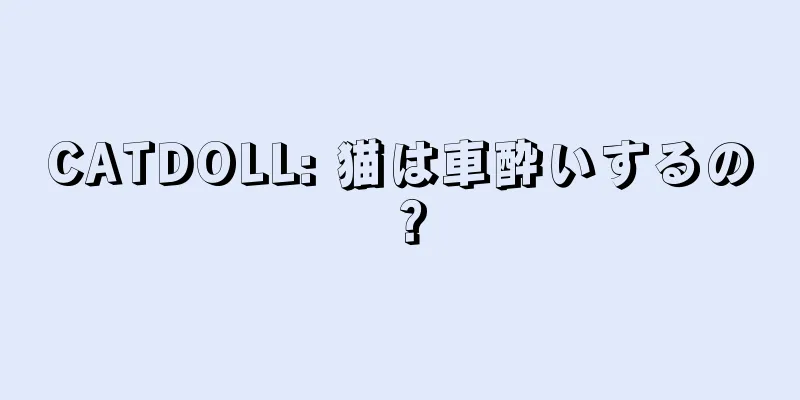 CATDOLL: 猫は車酔いするの？