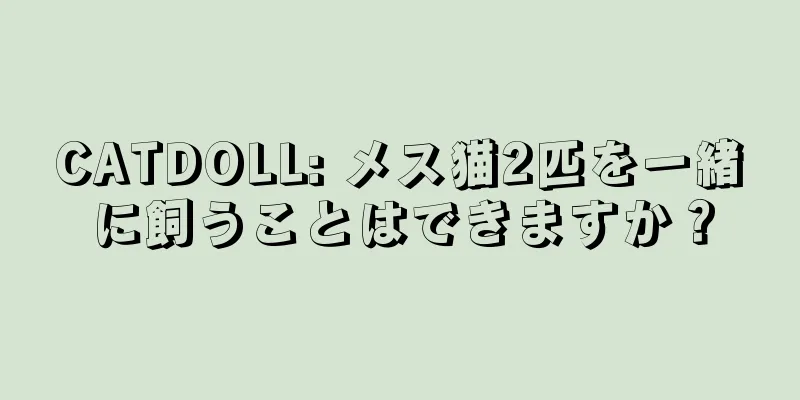 CATDOLL: メス猫2匹を一緒に飼うことはできますか？
