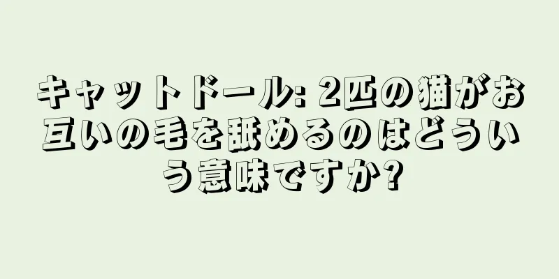 キャットドール: 2匹の猫がお互いの毛を舐めるのはどういう意味ですか?