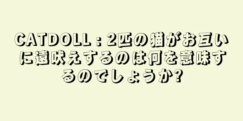 CATDOLL : 2匹の猫がお互いに遠吠えするのは何を意味するのでしょうか?