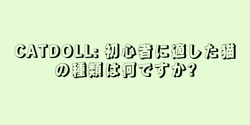 CATDOLL: 初心者に適した猫の種類は何ですか?