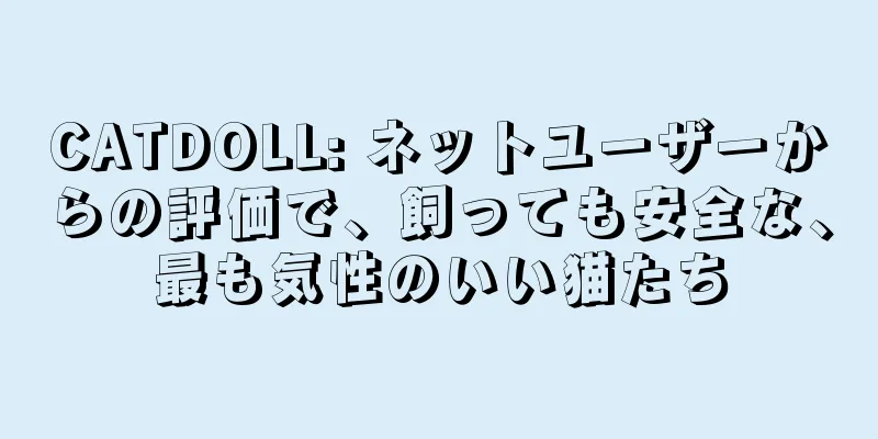 CATDOLL: ネットユーザーからの評価で、飼っても安全な、最も気性のいい猫たち