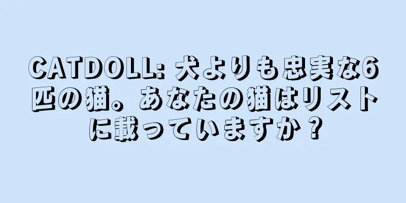 CATDOLL: 犬よりも忠実な6匹の猫。あなたの猫はリストに載っていますか？