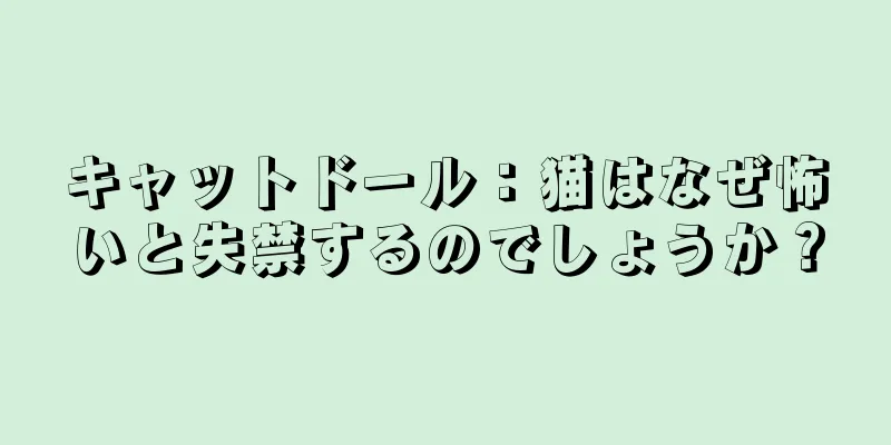 キャットドール：猫はなぜ怖いと失禁するのでしょうか？