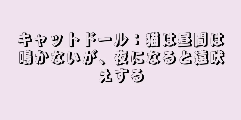 キャットドール：猫は昼間は鳴かないが、夜になると遠吠えする