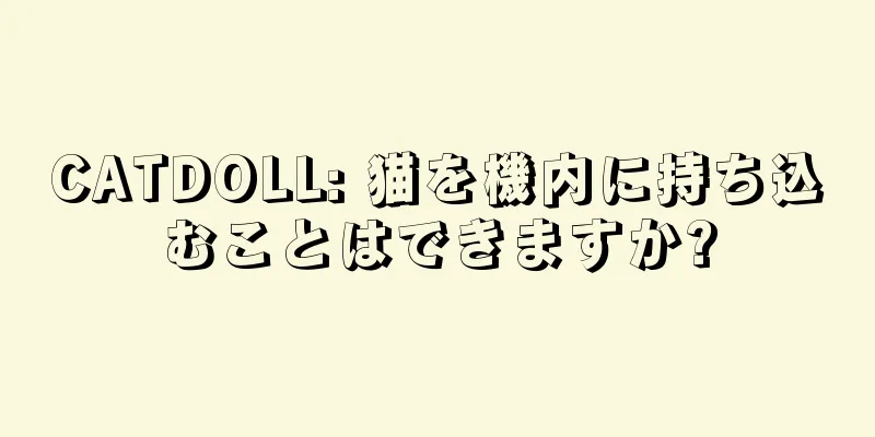 CATDOLL: 猫を機内に持ち込むことはできますか?