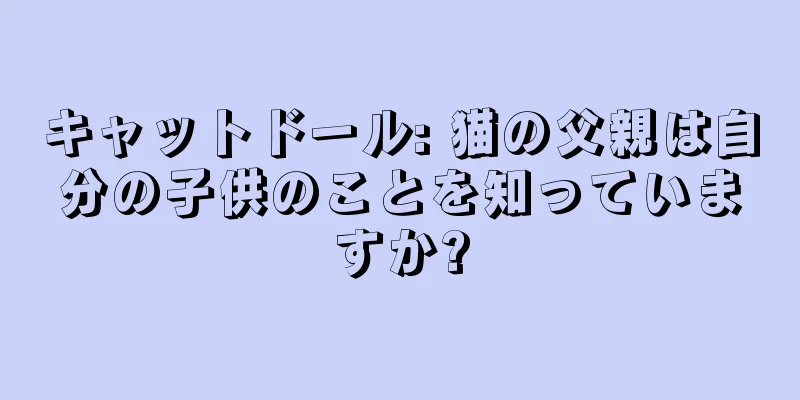 キャットドール: 猫の父親は自分の子供のことを知っていますか?
