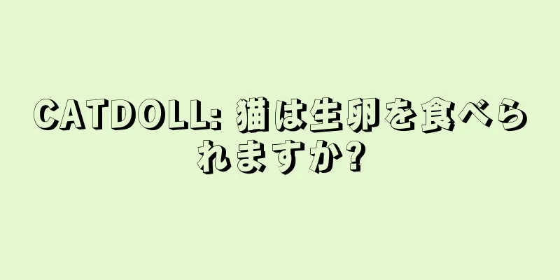 CATDOLL: 猫は生卵を食べられますか?