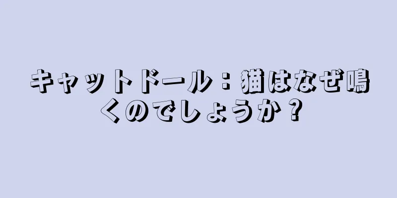キャットドール：猫はなぜ鳴くのでしょうか？