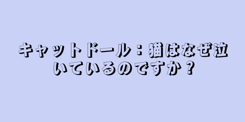 キャットドール：猫はなぜ泣いているのですか？