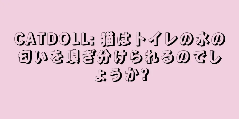 CATDOLL: 猫はトイレの水の匂いを嗅ぎ分けられるのでしょうか?