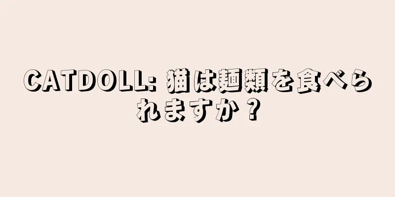 CATDOLL: 猫は麺類を食べられますか？