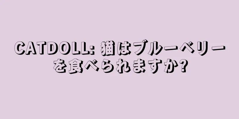 CATDOLL: 猫はブルーベリーを食べられますか?