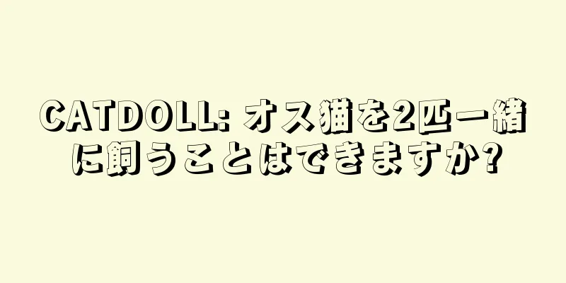 CATDOLL: オス猫を2匹一緒に飼うことはできますか?
