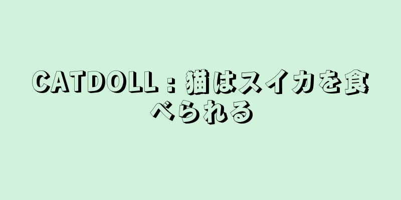 CATDOLL : 猫はスイカを食べられる