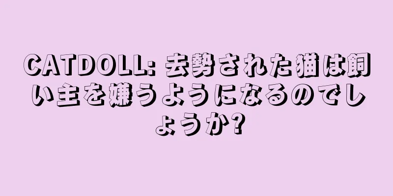 CATDOLL: 去勢された猫は飼い主を嫌うようになるのでしょうか?