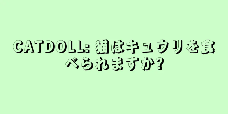 CATDOLL: 猫はキュウリを食べられますか?