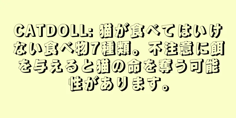 CATDOLL: 猫が食べてはいけない食べ物7種類。不注意に餌を与えると猫の命を奪う可能性があります。