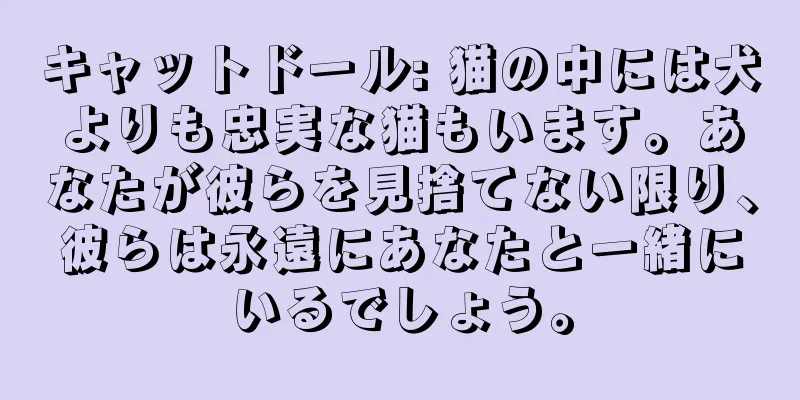 キャットドール: 猫の中には犬よりも忠実な猫もいます。あなたが彼らを見捨てない限り、彼らは永遠にあなたと一緒にいるでしょう。