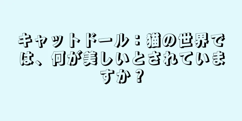 キャットドール：猫の世界では、何が美しいとされていますか？