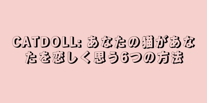 CATDOLL: あなたの猫があなたを恋しく思う6つの方法