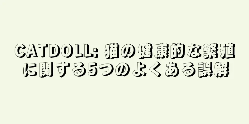 CATDOLL: 猫の健康的な繁殖に関する5つのよくある誤解