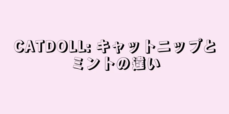 CATDOLL: キャットニップとミントの違い