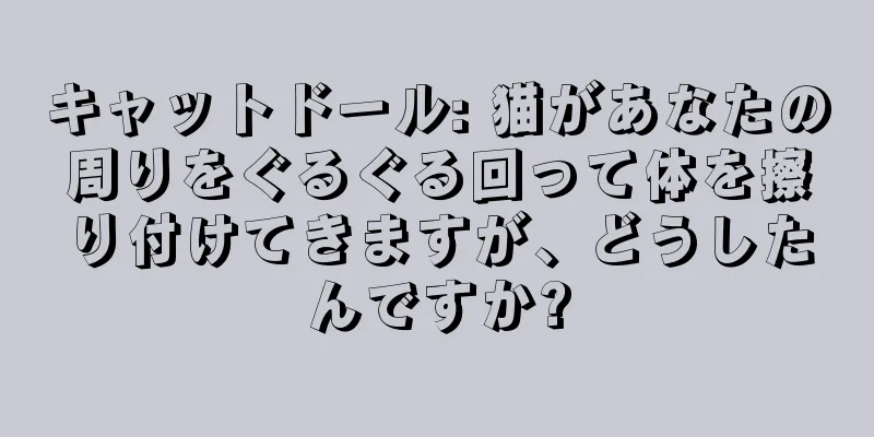 キャットドール: 猫があなたの周りをぐるぐる回って体を擦り付けてきますが、どうしたんですか?