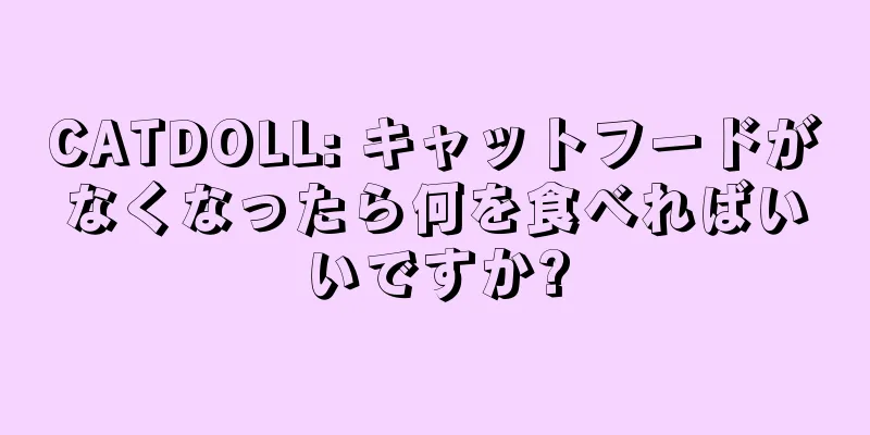 CATDOLL: キャットフードがなくなったら何を食べればいいですか?