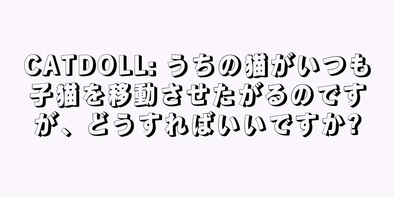 CATDOLL: うちの猫がいつも子猫を移動させたがるのですが、どうすればいいですか?