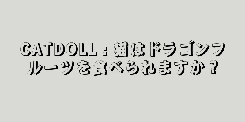 CATDOLL : 猫はドラゴンフルーツを食べられますか？