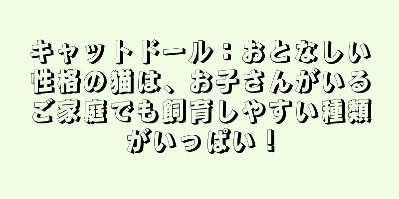 キャットドール：おとなしい性格の猫は、お子さんがいるご家庭でも飼育しやすい種類がいっぱい！