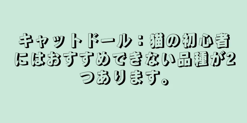 キャットドール：猫の初心者にはおすすめできない品種が2つあります。