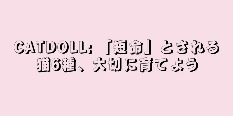 CATDOLL: 「短命」とされる猫6種、大切に育てよう