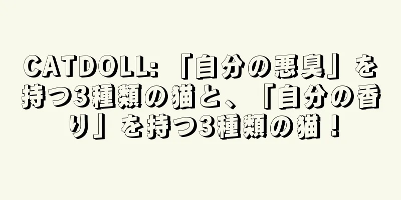 CATDOLL: 「自分の悪臭」を持つ3種類の猫と、「自分の香り」を持つ3種類の猫！