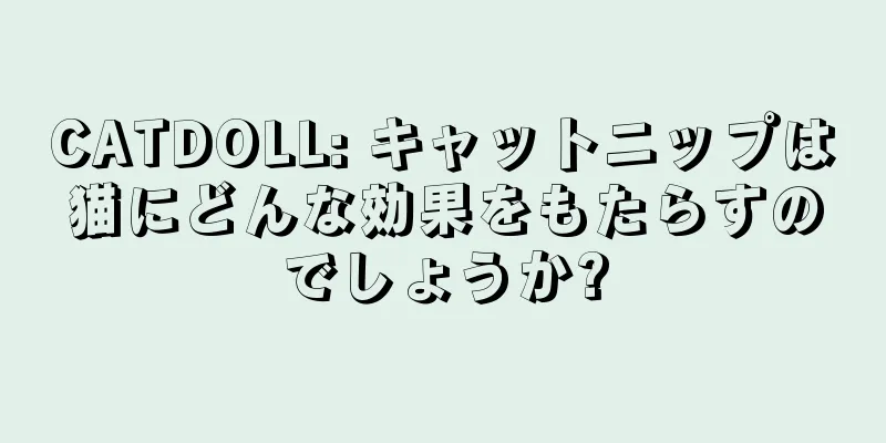 CATDOLL: キャットニップは猫にどんな効果をもたらすのでしょうか?