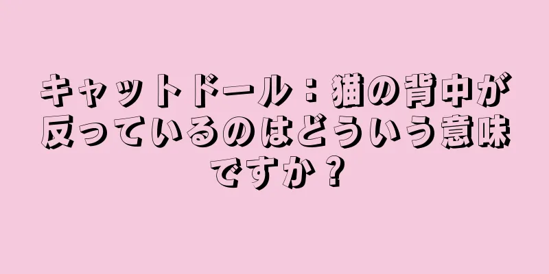 キャットドール：猫の背中が反っているのはどういう意味ですか？