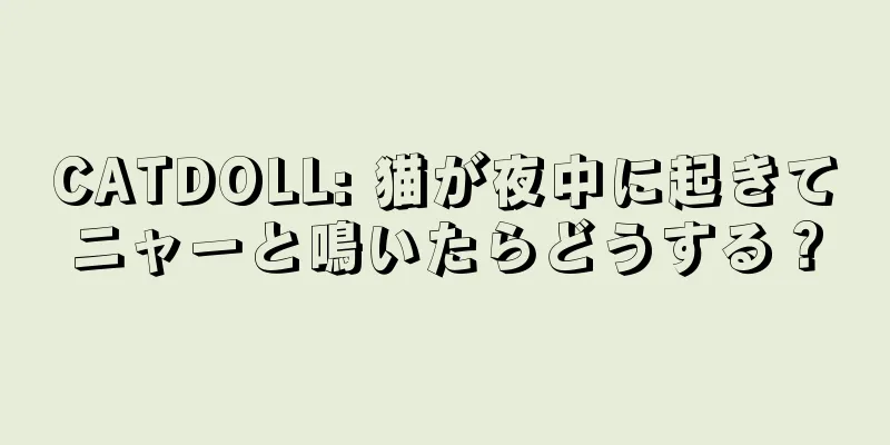 CATDOLL: 猫が夜中に起きてニャーと鳴いたらどうする？