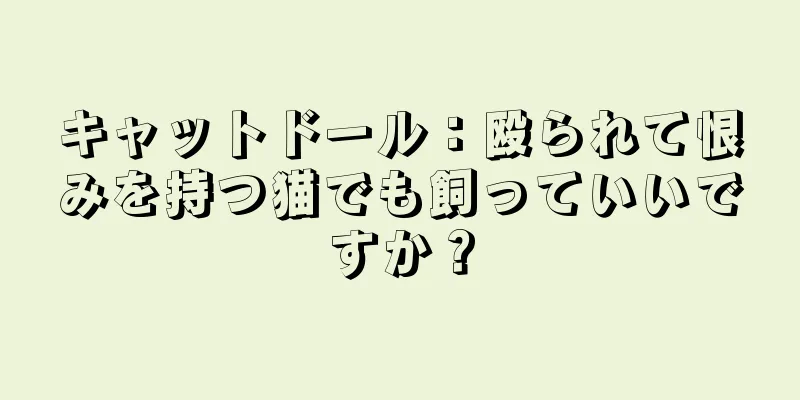 キャットドール：殴られて恨みを持つ猫でも飼っていいですか？