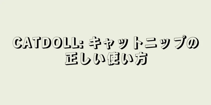 CATDOLL: キャットニップの正しい使い方